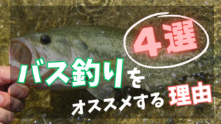 釣りを始めたい方必読！初心者に必要な道具と始め方！イチから解説入門