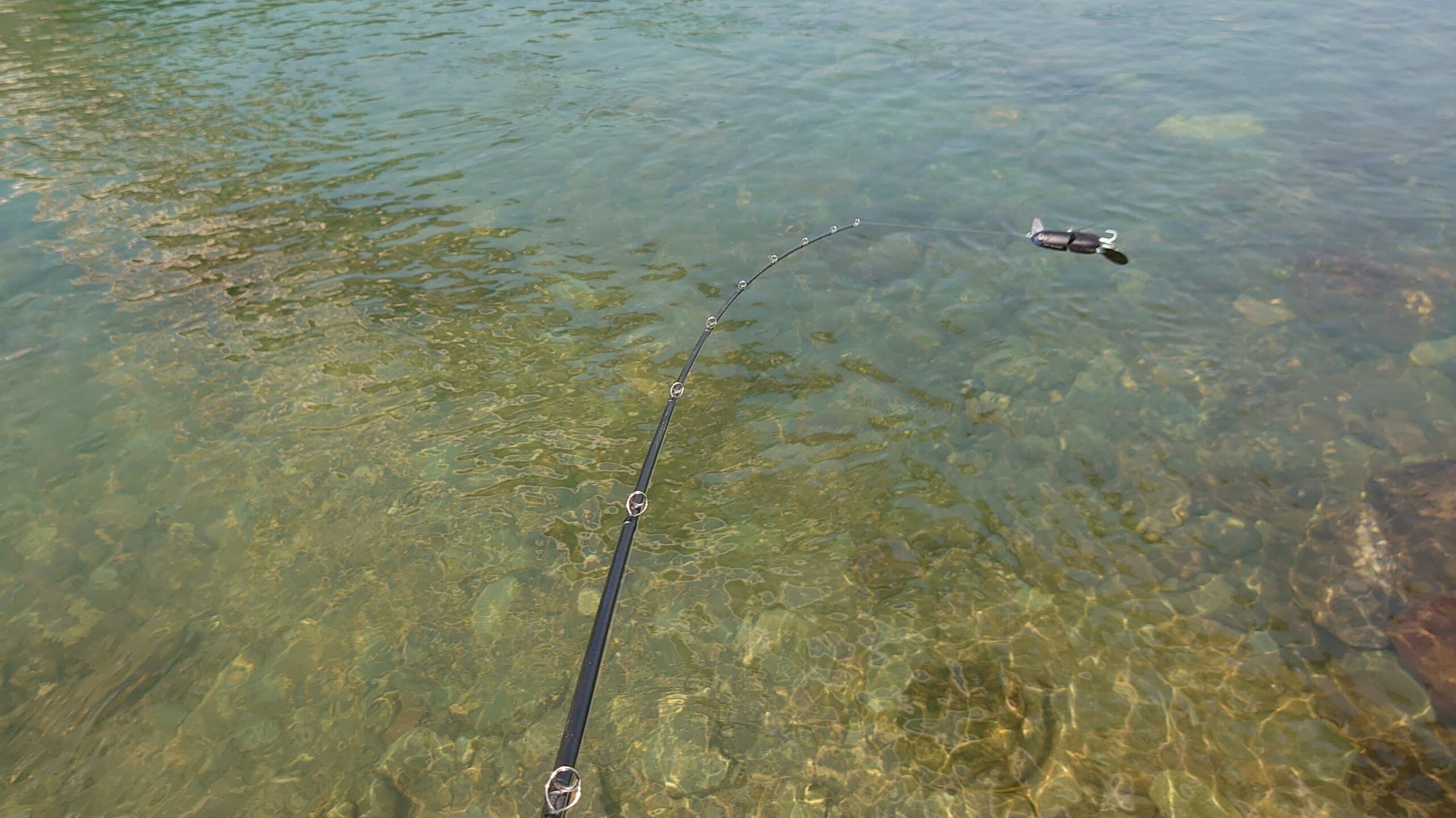 デプス　deps　釣り　バス釣り　ルアー　トップウォーター　ビッグバド　クランク　大型ブレード　インプレッション